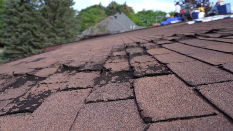 Reliable Brownsville, TX Roofing Service Solutions
