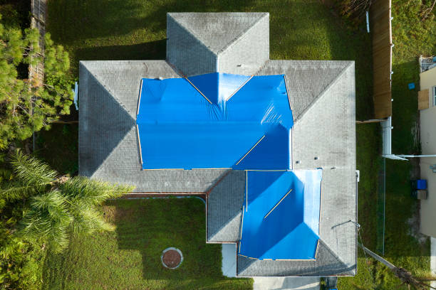 Best Asphalt Shingle Roofing  in Brownsville, TX