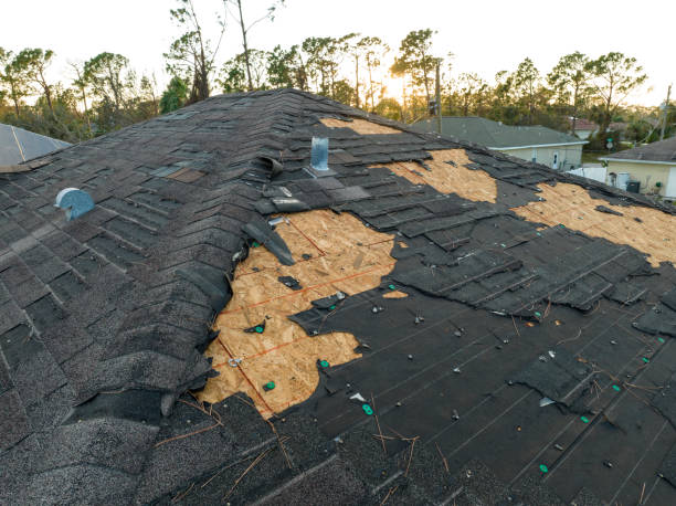 Best Roof Insulation Installation  in Brownsville, TX
