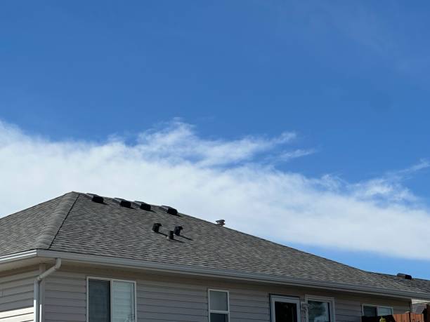 Best Sheet Metal Roofing  in Brownsville, TX
