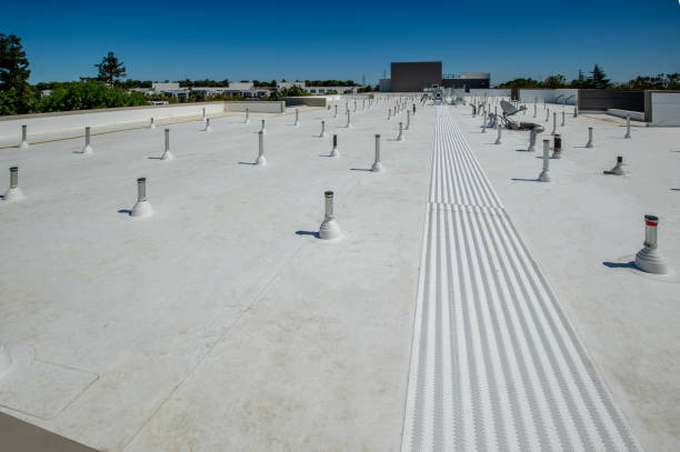 Best Gutter Installation and Repair  in Brownsville, TX